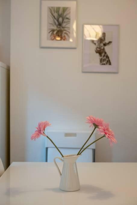 Galway City Cottage المظهر الخارجي الصورة